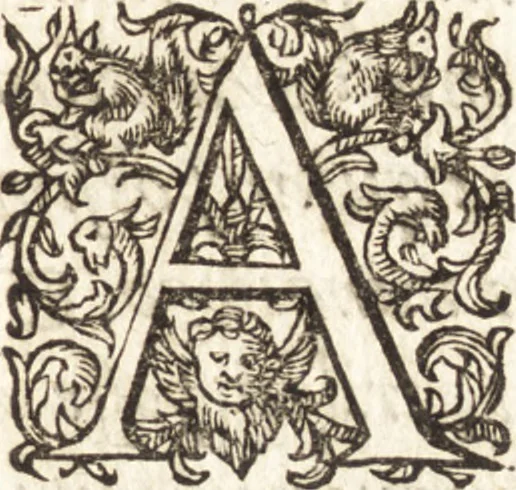 An illustration from Ivsti LipsI Satvrnalivm sermonvm libri dvo, qvi de gladiatoribvs, 1604, leaf 14