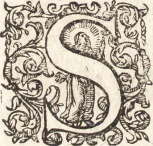 An illustration from Ivsti LipsI Satvrnalivm sermonvm libri dvo, qvi de gladiatoribvs, 1604, leaf 77