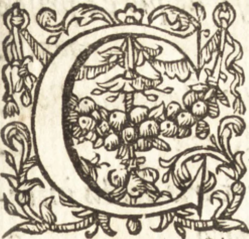 An illustration from Ivsti LipsI de vesta et vestalibvs syntagma, 1609, leaf 10