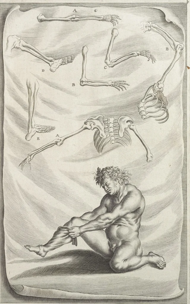 An illustration from Joachimi de Sandrart, à Stockau ... Academia nobilissimae artis pictoriae, sive, De veris & genuinis hujusdem proprietatibus, theorematibus, secretis atque requisitis aliis ... : unà cum artificum tam Aegyptiorum, Graecorum & Romanorum, quàm Italorum, Gallorum, Anglorum, Germanorum, Belgarum, aliorumq[ue] ... vitis atque encomiis ... : eorundemque plusquàm ducentis iconibus ... aere expressis, erecta atq[ue] publicata, 1683, leaf 32