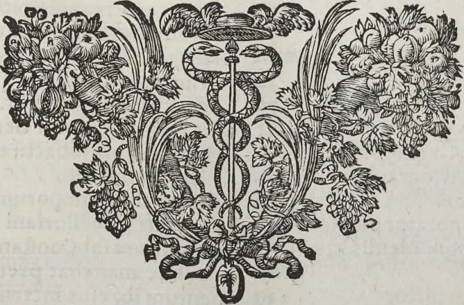 An illustration from Joachimi de Sandrart, à Stockau ... Academia nobilissimae artis pictoriae, sive, De veris & genuinis hujusdem proprietatibus, theorematibus, secretis atque requisitis aliis ... : unà cum artificum tam Aegyptiorum, Graecorum & Romanorum, quàm Italorum, Gallorum, Anglorum, Germanorum, Belgarum, aliorumq[ue] ... vitis atque encomiis ... : eorundemque plusquàm ducentis iconibus ... aere expressis, erecta atq[ue] publicata, 1683, leaf 528