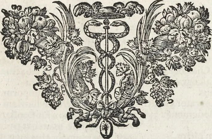 An illustration from Joachimi de Sandrart, à Stockau ... Academia nobilissimae artis pictoriae, sive, De veris & genuinis hujusdem proprietatibus, theorematibus, secretis atque requisitis aliis ... : unà cum artificum tam Aegyptiorum, Graecorum & Romanorum, quàm Italorum, Gallorum, Anglorum, Germanorum, Belgarum, aliorumq[ue] ... vitis atque encomiis ... : eorundemque plusquàm ducentis iconibus ... aere expressis, erecta atq[ue] publicata, 1683, leaf 518