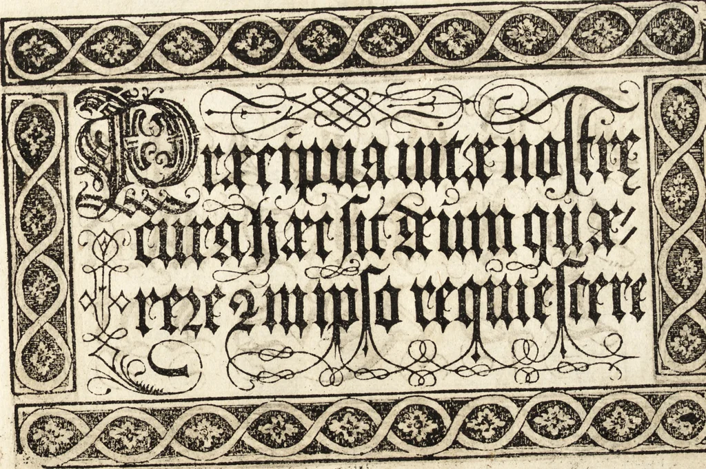 An illustration from Libellus valde doctus elegans, & vtilis, multa et varia scribendarum literarum genera complectens, 1564, leaf 20