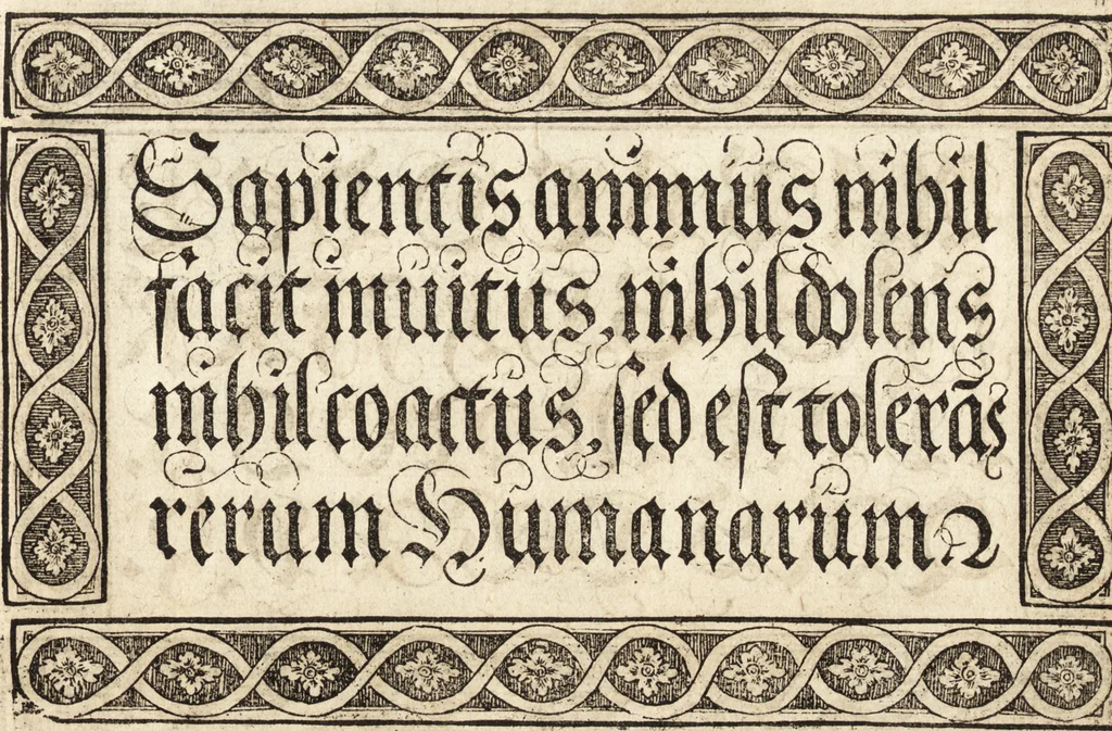 An illustration from Libellus valde doctus elegans, & vtilis, multa et varia scribendarum literarum genera complectens, 1564, leaf 24