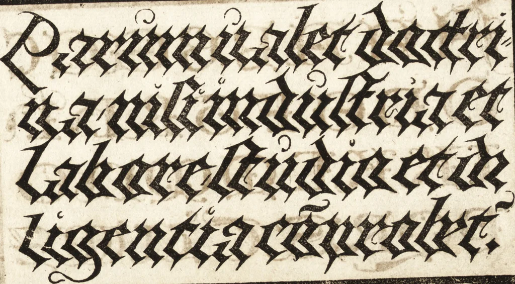 An illustration from Libellus valde doctus elegans, & vtilis, multa et varia scribendarum literarum genera complectens, 1564, leaf 40