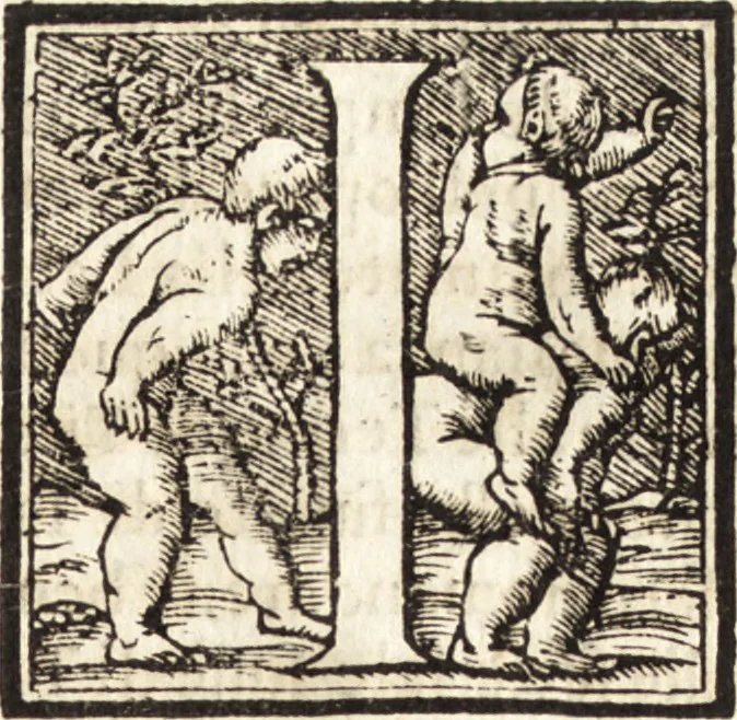 An illustration from Libri qvattro dell'antichita della citta di Roma : raccolte sotto brevita da diversi antichi et moderni scrittori, 1565, leaf 108