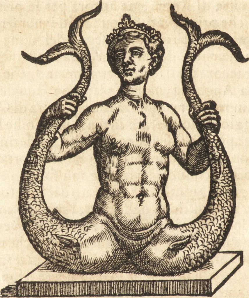 An illustration from Libri qvattro dell'antichita della citta di Roma : raccolte sotto brevita da diversi antichi et moderni scrittori, 1565, leaf 213