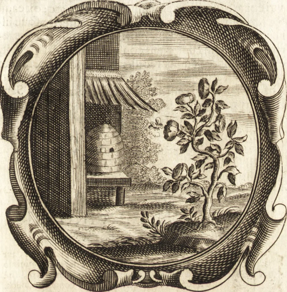 An illustration from Lucis euangelicae sub velum sacrorum emblematum reconditae, pars tertia : hoc est, caeleste pantheon, sive caelum novum in festa et gesta sanctorum totius anni, selectâ historiâ, & morali doctrinâ, 1659, leaf 12