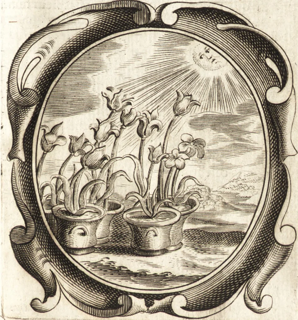 An illustration from Lucis euangelicae sub velum sacrorum emblematum reconditae, pars tertia : hoc est, caeleste pantheon, sive caelum novum in festa et gesta sanctorum totius anni, selectâ historiâ, & morali doctrinâ, 1659, leaf 186