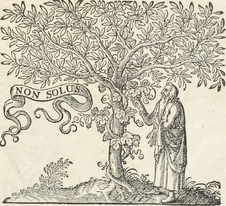 An illustration from Museum Wormianum, seu, Historia rerum rariorum : tam naturalium, quam artificialium, tam domesticarum, quam exoticarum, quae Hafniae Danorum in aedibus authoris servantur, 1655, leaf 12