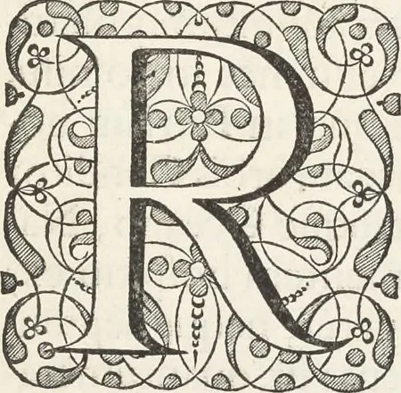 An illustration from Museum Wormianum, seu, Historia rerum rariorum : tam naturalium, quam artificialium, tam domesticarum, quam exoticarum, quae Hafniae Danorum in aedibus authoris servantur, 1655, leaf 14
