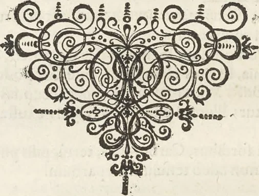 An illustration from Museum Wormianum, seu, Historia rerum rariorum : tam naturalium, quam artificialium, tam domesticarum, quam exoticarum, quae Hafniae Danorum in aedibus authoris servantur, 1655, leaf 165