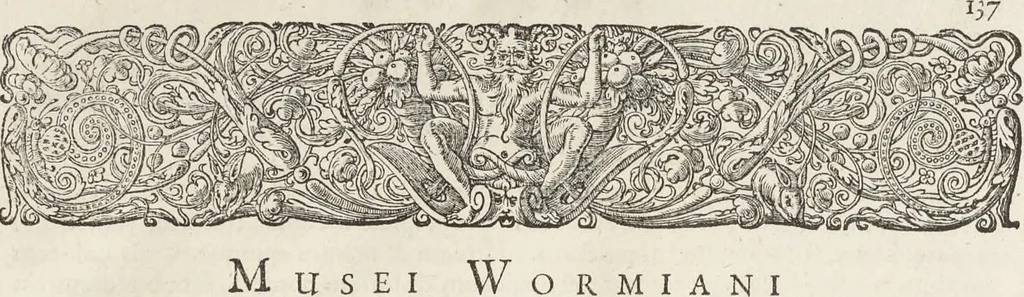 An illustration from Museum Wormianum, seu, Historia rerum rariorum : tam naturalium, quam artificialium, tam domesticarum, quam exoticarum, quae Hafniae Danorum in aedibus authoris servantur, 1655, leaf 166