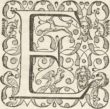 An illustration from Museum Wormianum, seu, Historia rerum rariorum : tam naturalium, quam artificialium, tam domesticarum, quam exoticarum, quae Hafniae Danorum in aedibus authoris servantur, 1655, leaf 166