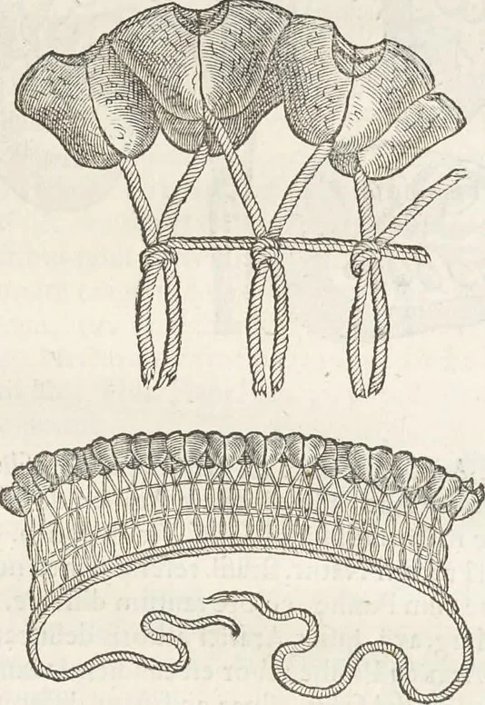 An illustration from Museum Wormianum, seu, Historia rerum rariorum : tam naturalium, quam artificialium, tam domesticarum, quam exoticarum, quae Hafniae Danorum in aedibus authoris servantur, 1655, leaf 214