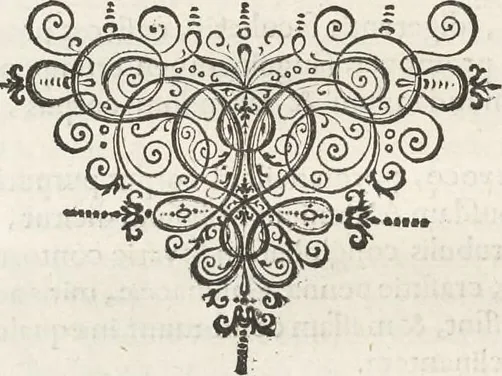 An illustration from Museum Wormianum, seu, Historia rerum rariorum : tam naturalium, quam artificialium, tam domesticarum, quam exoticarum, quae Hafniae Danorum in aedibus authoris servantur, 1655, leaf 267
