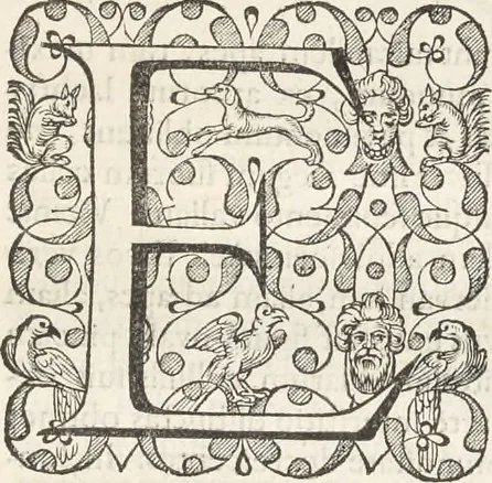 An illustration from Museum Wormianum, seu, Historia rerum rariorum : tam naturalium, quam artificialium, tam domesticarum, quam exoticarum, quae Hafniae Danorum in aedibus authoris servantur, 1655, leaf 268