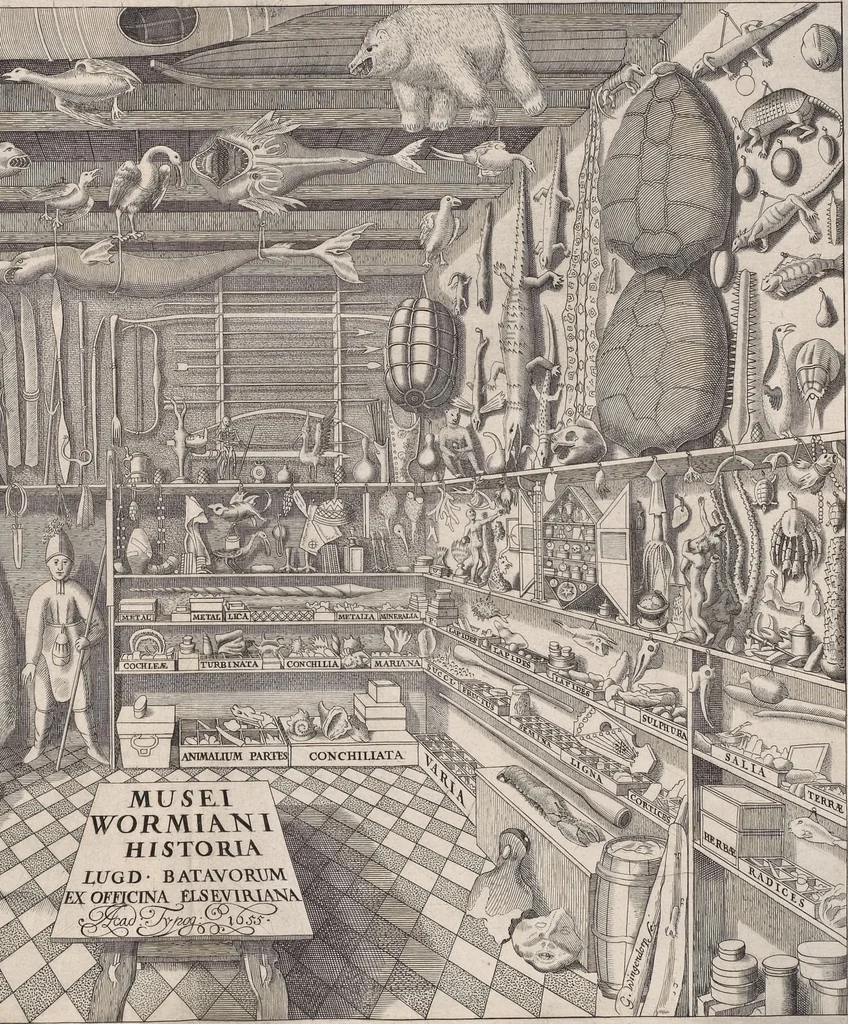 An illustration from Museum Wormianum, seu, Historia rerum rariorum : tam naturalium, quam artificialium, tam domesticarum, quam exoticarum, quae Hafniae Danorum in aedibus authoris servantur, 1655, leaf 27