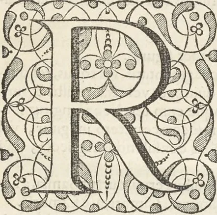 An illustration from Museum Wormianum, seu, Historia rerum rariorum : tam naturalium, quam artificialium, tam domesticarum, quam exoticarum, quae Hafniae Danorum in aedibus authoris servantur, 1655, leaf 30