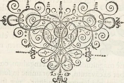 An illustration from Museum Wormianum, seu, Historia rerum rariorum : tam naturalium, quam artificialium, tam domesticarum, quam exoticarum, quae Hafniae Danorum in aedibus authoris servantur, 1655, leaf 372