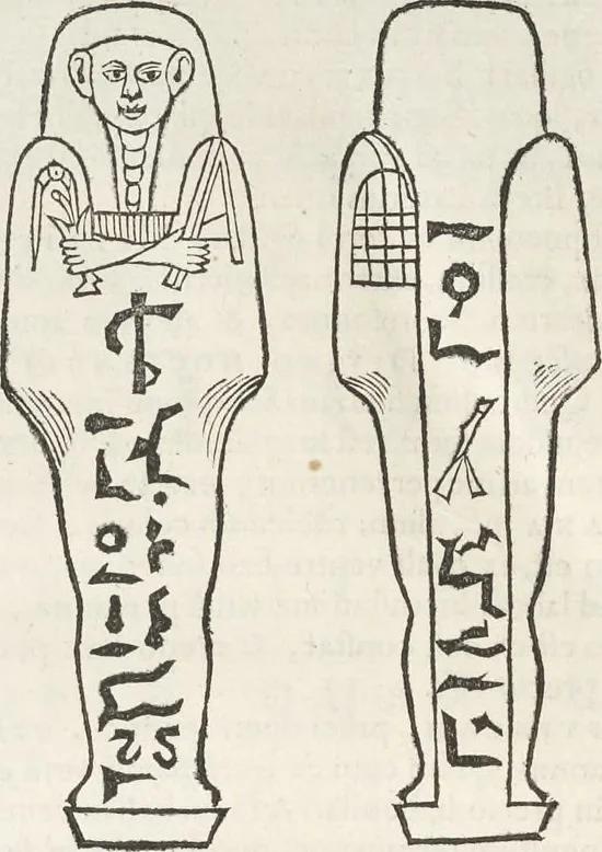 An illustration from Museum Wormianum, seu, Historia rerum rariorum : tam naturalium, quam artificialium, tam domesticarum, quam exoticarum, quae Hafniae Danorum in aedibus authoris servantur, 1655, leaf 375