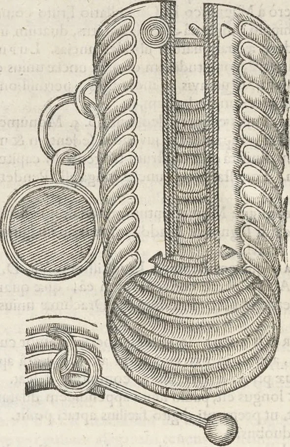 An illustration from Museum Wormianum, seu, Historia rerum rariorum : tam naturalium, quam artificialium, tam domesticarum, quam exoticarum, quae Hafniae Danorum in aedibus authoris servantur, 1655, leaf 381