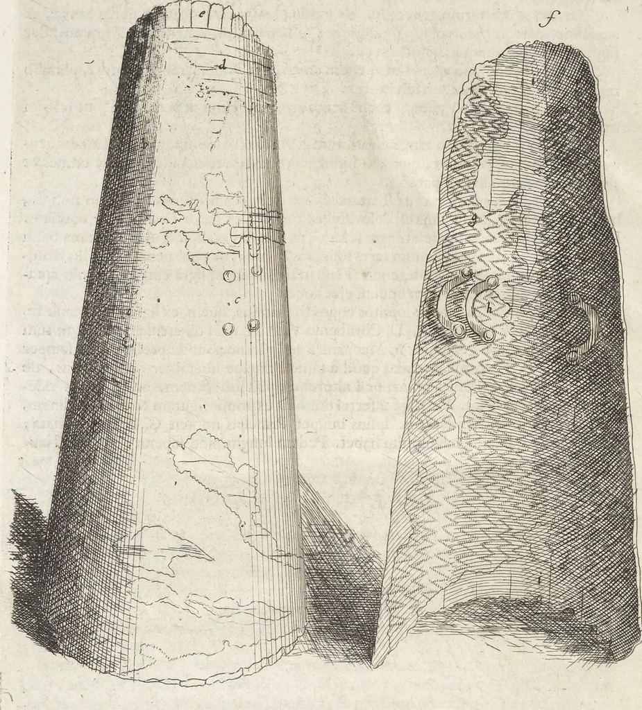 An illustration from Museum Wormianum, seu, Historia rerum rariorum : tam naturalium, quam artificialium, tam domesticarum, quam exoticarum, quae Hafniae Danorum in aedibus authoris servantur, 1655, leaf 397