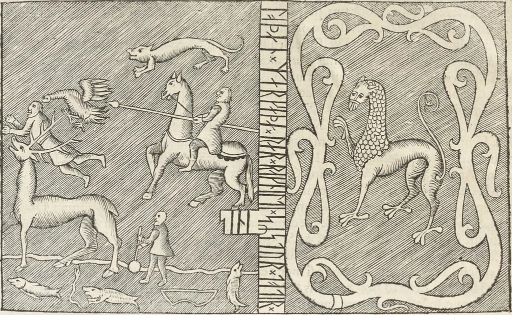 An illustration from Museum Wormianum, seu, Historia rerum rariorum : tam naturalium, quam artificialium, tam domesticarum, quam exoticarum, quae Hafniae Danorum in aedibus authoris servantur, 1655, leaf 415