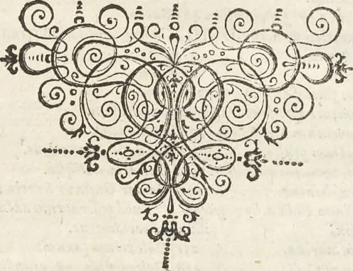 An illustration from Museum Wormianum, seu, Historia rerum rariorum : tam naturalium, quam artificialium, tam domesticarum, quam exoticarum, quae Hafniae Danorum in aedibus authoris servantur, 1655, leaf 416