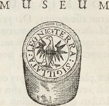 An illustration from Museum Wormianum, seu, Historia rerum rariorum : tam naturalium, quam artificialium, tam domesticarum, quam exoticarum, quae Hafniae Danorum in aedibus authoris servantur, 1655, leaf 43