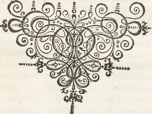 An illustration from Museum Wormianum, seu, Historia rerum rariorum : tam naturalium, quam artificialium, tam domesticarum, quam exoticarum, quae Hafniae Danorum in aedibus authoris servantur, 1655, leaf 64