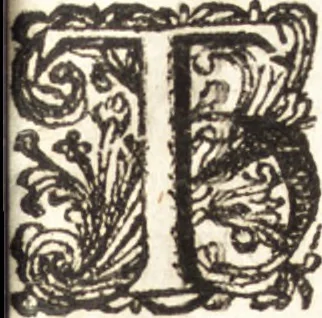 An illustration from The Netherland-historian : containing a true and exact relation of what hath passed in the late warrs between the King of Great Britain, and the French King with their allyes, against the States Generall of the United Provinces, from the beginning thereof anno. 1671 to the conclusion of peace between His aforesaid Majesty of Britain, and the said States, with the continuation of what hath since happened between France and his allyes, against the said States, and their confœderates, to the end of the year 1674 : illustrated with above 60 sculptures, being the exact delineations of the most principall fortifications in those provinces, and the pourtraictures of severall mighty princes and eminent officers, 1675, leaf 10