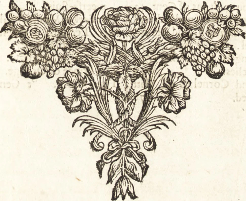 An illustration from The Netherland-historian : containing a true and exact relation of what hath passed in the late warrs between the King of Great Britain, and the French King with their allyes, against the States Generall of the United Provinces, from the beginning thereof anno. 1671 to the conclusion of peace between His aforesaid Majesty of Britain, and the said States, with the continuation of what hath since happened between France and his allyes, against the said States, and their confœderates, to the end of the year 1674 : illustrated with above 60 sculptures, being the exact delineations of the most principall fortifications in those provinces, and the pourtraictures of severall mighty princes and eminent officers, 1675, leaf 12