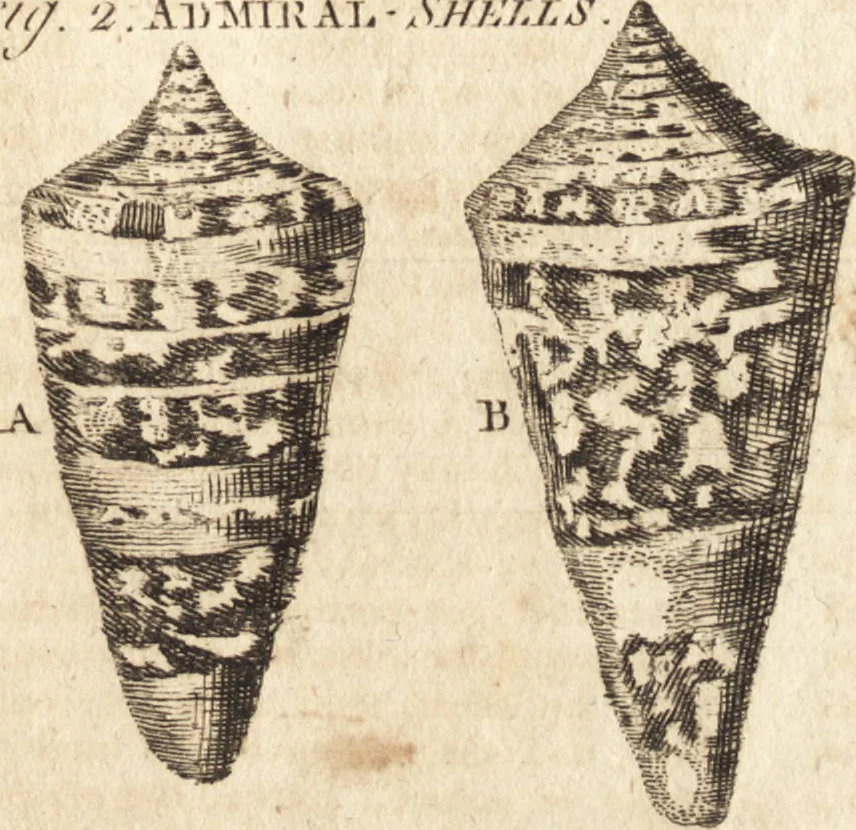 An illustration from A new and complete dictionary of arts and sciences : comprehending all the branches of useful knowledge, with accurate descriptions as well of the various machines, instruments, tools, figures, and schemes necessary for illustrating them, as of the classes, kinds, preparations, and uses of natural productions, whether animals, vegetables, minerals, fossils, or fluids : together with the kingdoms, provinces, cities, towns, and other remarkable places throughout the world : illustrated with above three hundred copper-plates, engraved by Mr. Jefferys, geographer to His Majesty : the whole extracted from the best authors in all languages, 1763, leaf 104