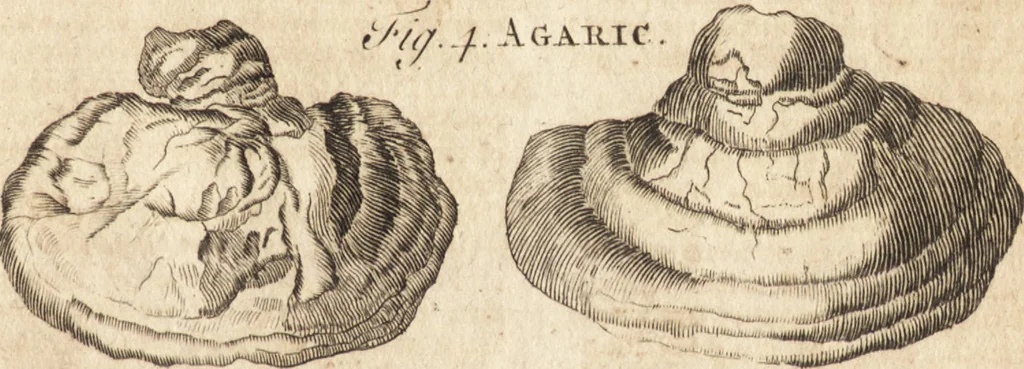 An illustration from A new and complete dictionary of arts and sciences : comprehending all the branches of useful knowledge, with accurate descriptions as well of the various machines, instruments, tools, figures, and schemes necessary for illustrating them, as of the classes, kinds, preparations, and uses of natural productions, whether animals, vegetables, minerals, fossils, or fluids : together with the kingdoms, provinces, cities, towns, and other remarkable places throughout the world : illustrated with above three hundred copper-plates, engraved by Mr. Jefferys, geographer to His Majesty : the whole extracted from the best authors in all languages, 1763, leaf 104