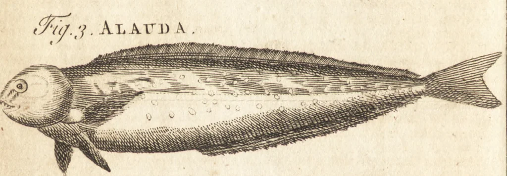 An illustration from A new and complete dictionary of arts and sciences : comprehending all the branches of useful knowledge, with accurate descriptions as well of the various machines, instruments, tools, figures, and schemes necessary for illustrating them, as of the classes, kinds, preparations, and uses of natural productions, whether animals, vegetables, minerals, fossils, or fluids : together with the kingdoms, provinces, cities, towns, and other remarkable places throughout the world : illustrated with above three hundred copper-plates, engraved by Mr. Jefferys, geographer to His Majesty : the whole extracted from the best authors in all languages, 1763, leaf 131