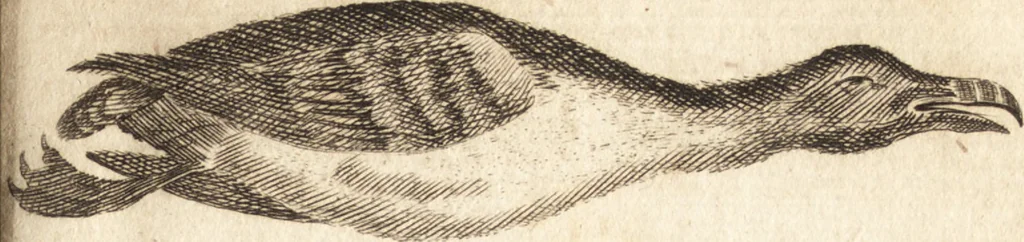 An illustration from A new and complete dictionary of arts and sciences : comprehending all the branches of useful knowledge, with accurate descriptions as well of the various machines, instruments, tools, figures, and schemes necessary for illustrating them, as of the classes, kinds, preparations, and uses of natural productions, whether animals, vegetables, minerals, fossils, or fluids : together with the kingdoms, provinces, cities, towns, and other remarkable places throughout the world : illustrated with above three hundred copper-plates, engraved by Mr. Jefferys, geographer to His Majesty : the whole extracted from the best authors in all languages, 1763, leaf 154