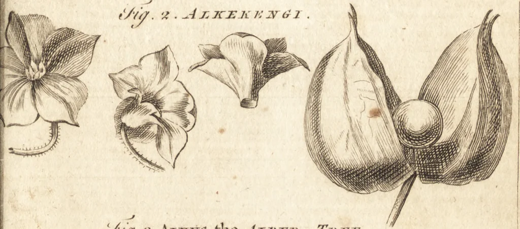 An illustration from A new and complete dictionary of arts and sciences : comprehending all the branches of useful knowledge, with accurate descriptions as well of the various machines, instruments, tools, figures, and schemes necessary for illustrating them, as of the classes, kinds, preparations, and uses of natural productions, whether animals, vegetables, minerals, fossils, or fluids : together with the kingdoms, provinces, cities, towns, and other remarkable places throughout the world : illustrated with above three hundred copper-plates, engraved by Mr. Jefferys, geographer to His Majesty : the whole extracted from the best authors in all languages, 1763, leaf 154