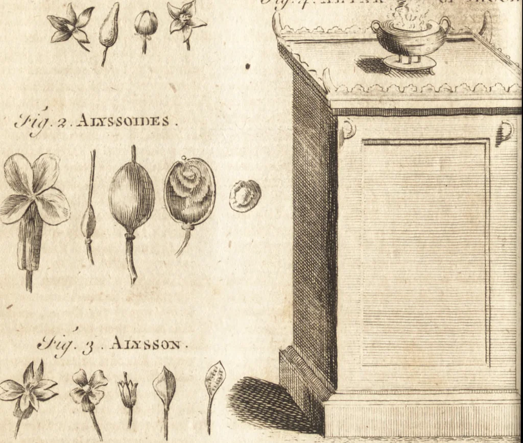 An illustration from A new and complete dictionary of arts and sciences : comprehending all the branches of useful knowledge, with accurate descriptions as well of the various machines, instruments, tools, figures, and schemes necessary for illustrating them, as of the classes, kinds, preparations, and uses of natural productions, whether animals, vegetables, minerals, fossils, or fluids : together with the kingdoms, provinces, cities, towns, and other remarkable places throughout the world : illustrated with above three hundred copper-plates, engraved by Mr. Jefferys, geographer to His Majesty : the whole extracted from the best authors in all languages, 1763, leaf 161