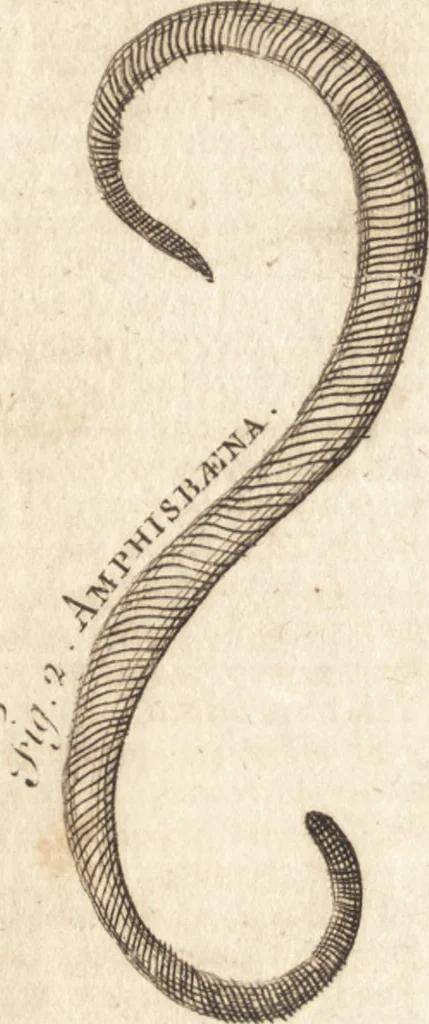 An illustration from A new and complete dictionary of arts and sciences : comprehending all the branches of useful knowledge, with accurate descriptions as well of the various machines, instruments, tools, figures, and schemes necessary for illustrating them, as of the classes, kinds, preparations, and uses of natural productions, whether animals, vegetables, minerals, fossils, or fluids : together with the kingdoms, provinces, cities, towns, and other remarkable places throughout the world : illustrated with above three hundred copper-plates, engraved by Mr. Jefferys, geographer to His Majesty : the whole extracted from the best authors in all languages, 1763, leaf 185