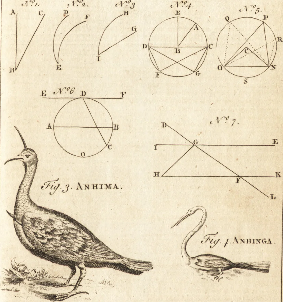 An illustration from A new and complete dictionary of arts and sciences : comprehending all the branches of useful knowledge, with accurate descriptions as well of the various machines, instruments, tools, figures, and schemes necessary for illustrating them, as of the classes, kinds, preparations, and uses of natural productions, whether animals, vegetables, minerals, fossils, or fluids : together with the kingdoms, provinces, cities, towns, and other remarkable places throughout the world : illustrated with above three hundred copper-plates, engraved by Mr. Jefferys, geographer to His Majesty : the whole extracted from the best authors in all languages, 1763, leaf 208