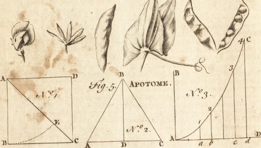 An illustration from A new and complete dictionary of arts and sciences : comprehending all the branches of useful knowledge, with accurate descriptions as well of the various machines, instruments, tools, figures, and schemes necessary for illustrating them, as of the classes, kinds, preparations, and uses of natural productions, whether animals, vegetables, minerals, fossils, or fluids : together with the kingdoms, provinces, cities, towns, and other remarkable places throughout the world : illustrated with above three hundred copper-plates, engraved by Mr. Jefferys, geographer to His Majesty : the whole extracted from the best authors in all languages, 1763, leaf 237