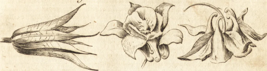 An illustration from A new and complete dictionary of arts and sciences : comprehending all the branches of useful knowledge, with accurate descriptions as well of the various machines, instruments, tools, figures, and schemes necessary for illustrating them, as of the classes, kinds, preparations, and uses of natural productions, whether animals, vegetables, minerals, fossils, or fluids : together with the kingdoms, provinces, cities, towns, and other remarkable places throughout the world : illustrated with above three hundred copper-plates, engraved by Mr. Jefferys, geographer to His Majesty : the whole extracted from the best authors in all languages, 1763, leaf 256
