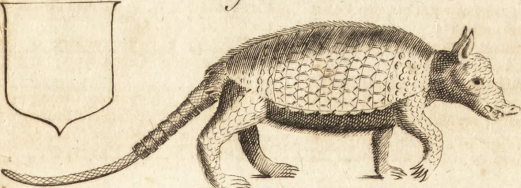 An illustration from A new and complete dictionary of arts and sciences : comprehending all the branches of useful knowledge, with accurate descriptions as well of the various machines, instruments, tools, figures, and schemes necessary for illustrating them, as of the classes, kinds, preparations, and uses of natural productions, whether animals, vegetables, minerals, fossils, or fluids : together with the kingdoms, provinces, cities, towns, and other remarkable places throughout the world : illustrated with above three hundred copper-plates, engraved by Mr. Jefferys, geographer to His Majesty : the whole extracted from the best authors in all languages, 1763, leaf 256