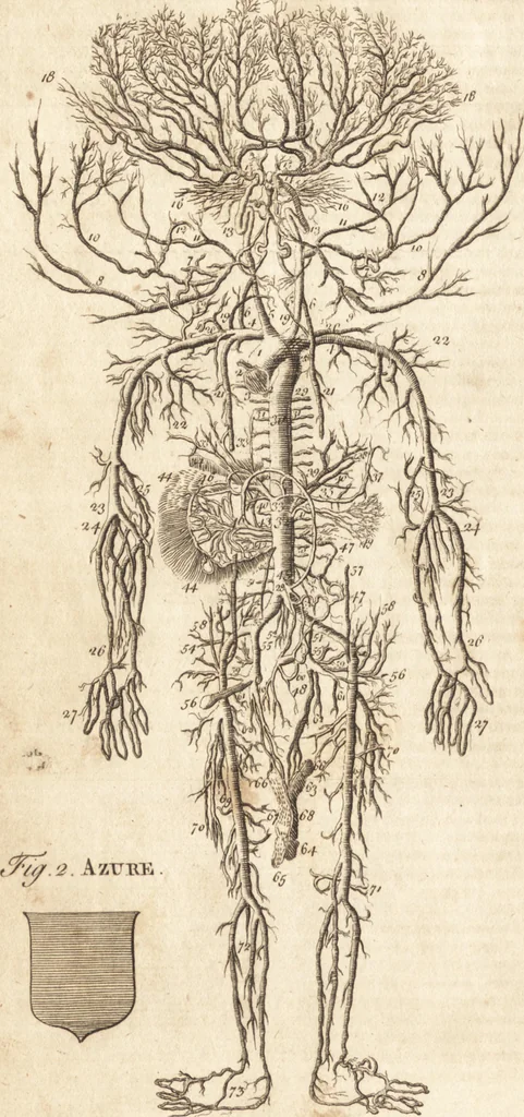 An illustration from A new and complete dictionary of arts and sciences : comprehending all the branches of useful knowledge, with accurate descriptions as well of the various machines, instruments, tools, figures, and schemes necessary for illustrating them, as of the classes, kinds, preparations, and uses of natural productions, whether animals, vegetables, minerals, fossils, or fluids : together with the kingdoms, provinces, cities, towns, and other remarkable places throughout the world : illustrated with above three hundred copper-plates, engraved by Mr. Jefferys, geographer to His Majesty : the whole extracted from the best authors in all languages, 1763, leaf 265