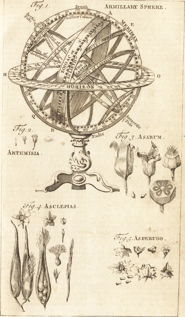 An illustration from A new and complete dictionary of arts and sciences : comprehending all the branches of useful knowledge, with accurate descriptions as well of the various machines, instruments, tools, figures, and schemes necessary for illustrating them, as of the classes, kinds, preparations, and uses of natural productions, whether animals, vegetables, minerals, fossils, or fluids : together with the kingdoms, provinces, cities, towns, and other remarkable places throughout the world : illustrated with above three hundred copper-plates, engraved by Mr. Jefferys, geographer to His Majesty : the whole extracted from the best authors in all languages, 1763, leaf 274