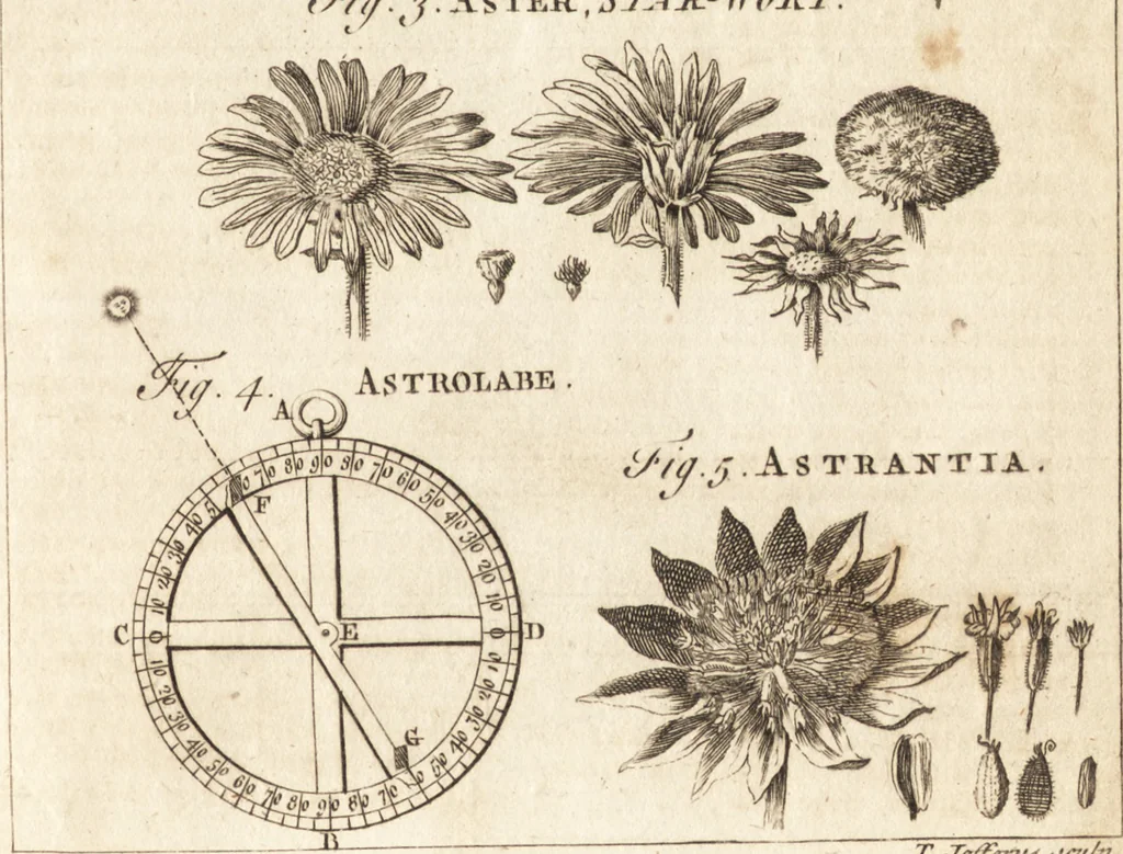 An illustration from A new and complete dictionary of arts and sciences : comprehending all the branches of useful knowledge, with accurate descriptions as well of the various machines, instruments, tools, figures, and schemes necessary for illustrating them, as of the classes, kinds, preparations, and uses of natural productions, whether animals, vegetables, minerals, fossils, or fluids : together with the kingdoms, provinces, cities, towns, and other remarkable places throughout the world : illustrated with above three hundred copper-plates, engraved by Mr. Jefferys, geographer to His Majesty : the whole extracted from the best authors in all languages, 1763, leaf 284