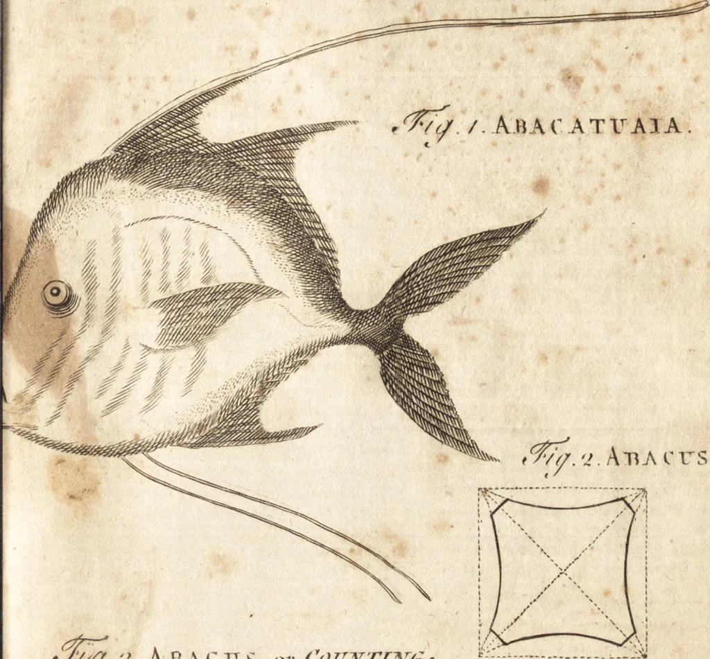 An illustration from A new and complete dictionary of arts and sciences : comprehending all the branches of useful knowledge, with accurate descriptions as well of the various machines, instruments, tools, figures, and schemes necessary for illustrating them, as of the classes, kinds, preparations, and uses of natural productions, whether animals, vegetables, minerals, fossils, or fluids : together with the kingdoms, provinces, cities, towns, and other remarkable places throughout the world : illustrated with above three hundred copper-plates, engraved by Mr. Jefferys, geographer to His Majesty : the whole extracted from the best authors in all languages, 1763, leaf 30