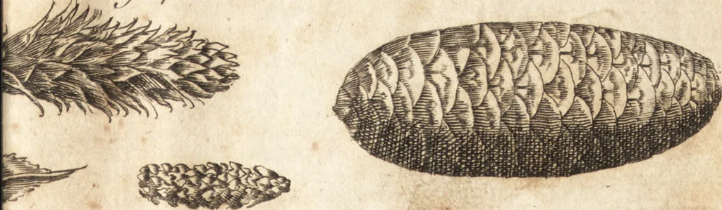 An illustration from A new and complete dictionary of arts and sciences : comprehending all the branches of useful knowledge, with accurate descriptions as well of the various machines, instruments, tools, figures, and schemes necessary for illustrating them, as of the classes, kinds, preparations, and uses of natural productions, whether animals, vegetables, minerals, fossils, or fluids : together with the kingdoms, provinces, cities, towns, and other remarkable places throughout the world : illustrated with above three hundred copper-plates, engraved by Mr. Jefferys, geographer to His Majesty : the whole extracted from the best authors in all languages, 1763, leaf 30
