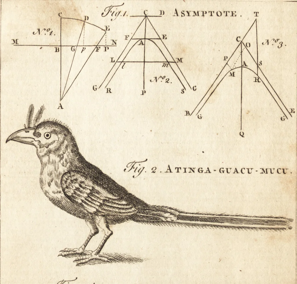 An illustration from A new and complete dictionary of arts and sciences : comprehending all the branches of useful knowledge, with accurate descriptions as well of the various machines, instruments, tools, figures, and schemes necessary for illustrating them, as of the classes, kinds, preparations, and uses of natural productions, whether animals, vegetables, minerals, fossils, or fluids : together with the kingdoms, provinces, cities, towns, and other remarkable places throughout the world : illustrated with above three hundred copper-plates, engraved by Mr. Jefferys, geographer to His Majesty : the whole extracted from the best authors in all languages, 1763, leaf 310